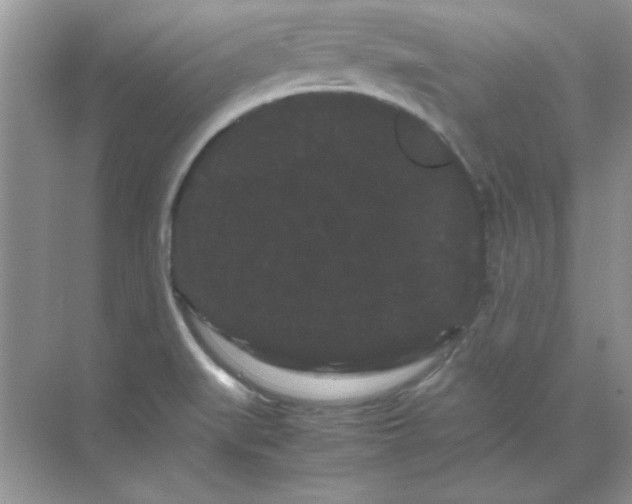 X0000071901519200607212003