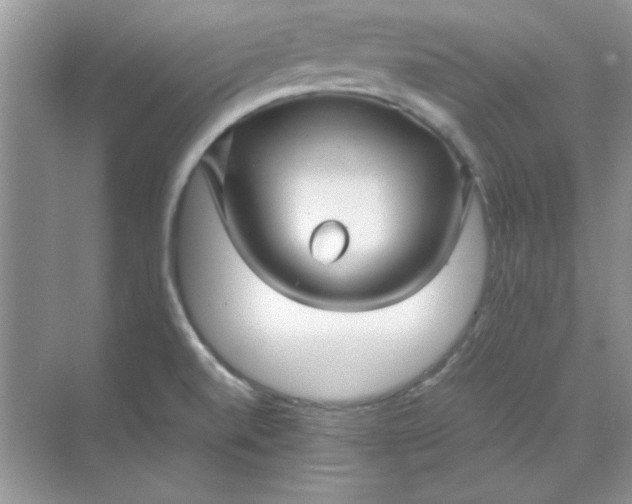 X0000071901520200607212003