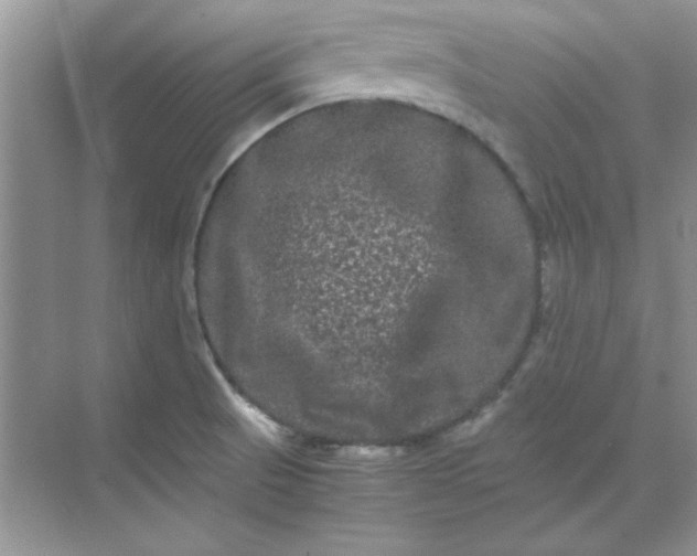 X0000071901521200607212003