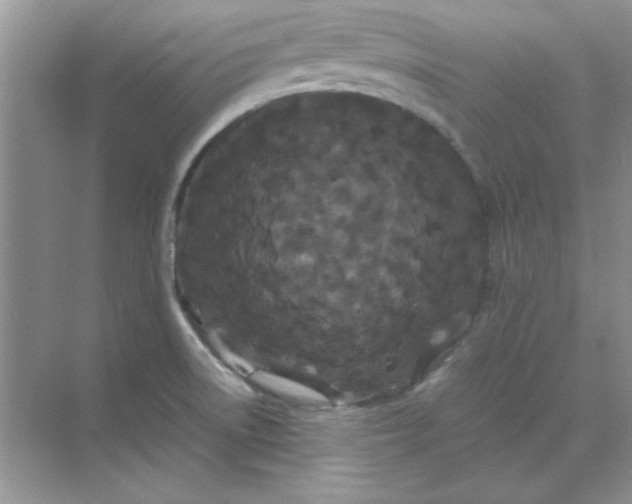 X0000071901522200607212003