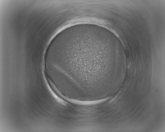 X0000071901523200607212003