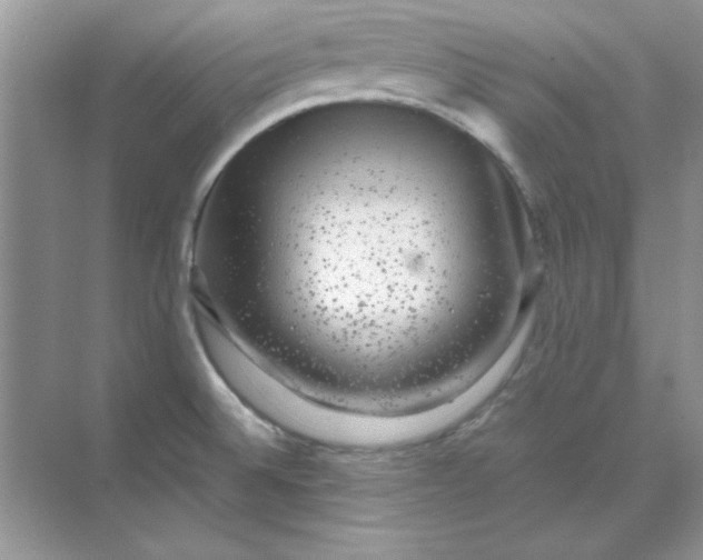 X0000071901524200607212003