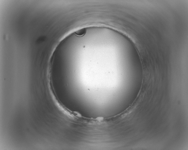 X0000071901526200607212003