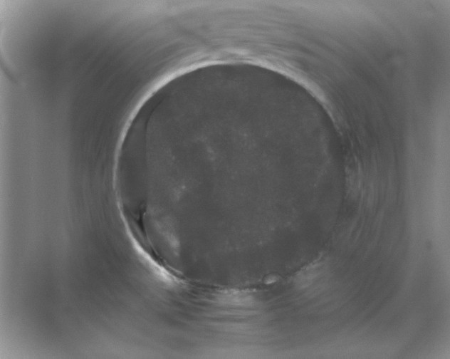 X0000071901527200607212003