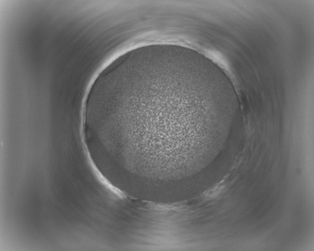 X0000071901528200607212003