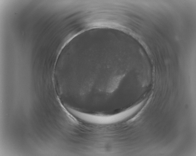 X0000071901529200607212003