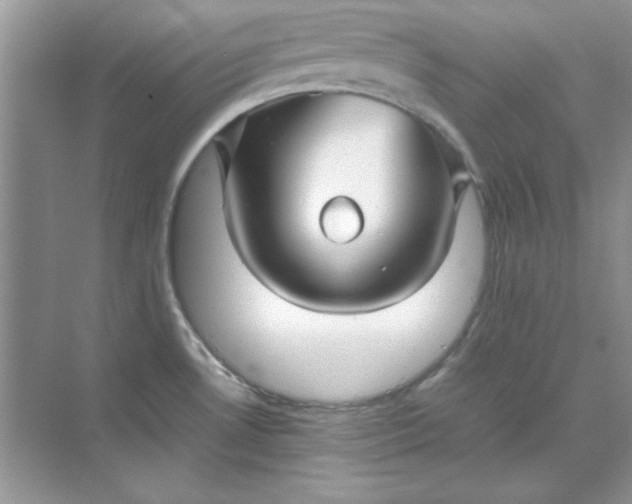 X0000071901530200607212003