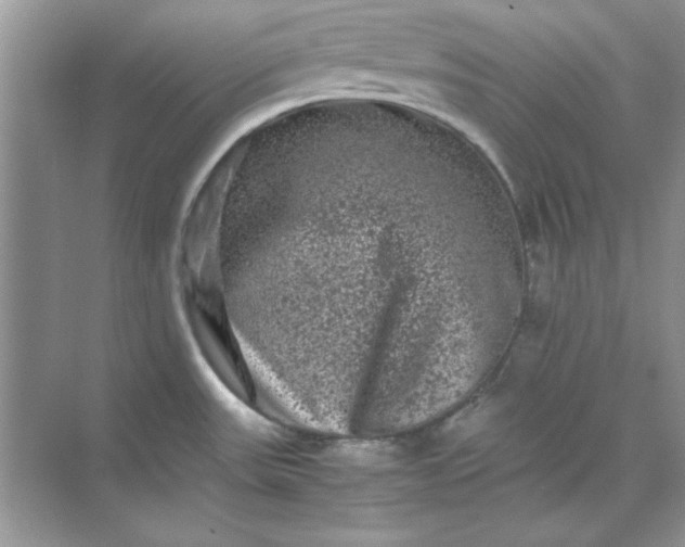 X0000071901531200607212003