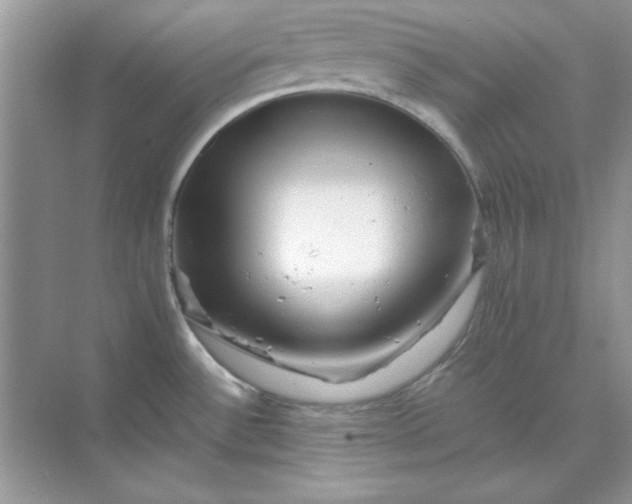 X0000071901532200607212003