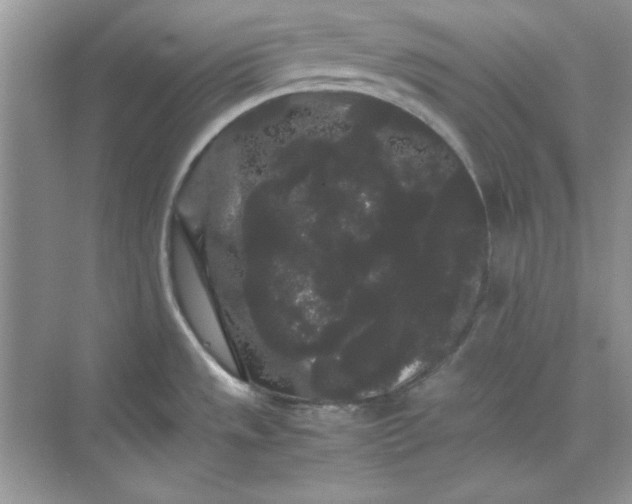 X0000071901533200607212003