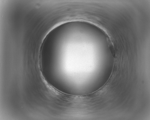 X0000071901534200607212003