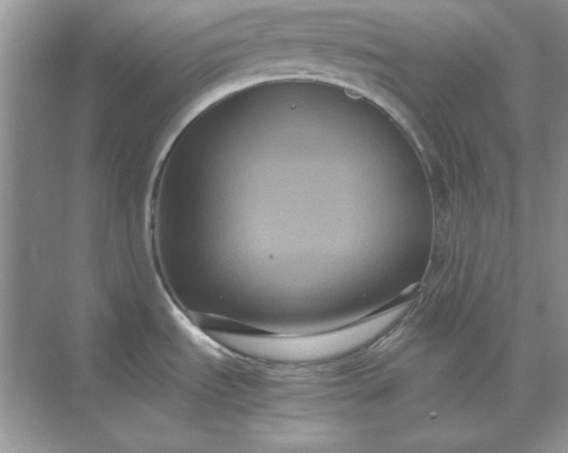 X0000071901535200607212003