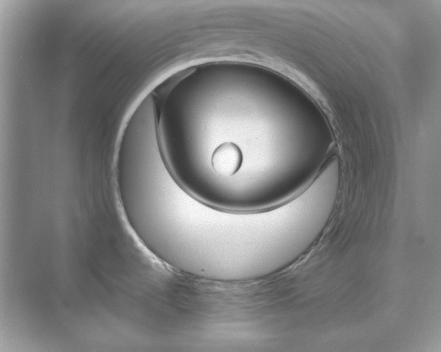 X0000071901536200607212003