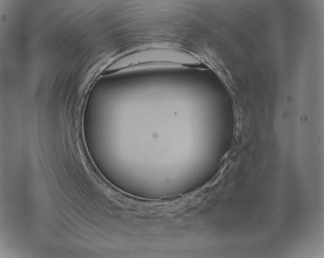 X0000071900001200607281815