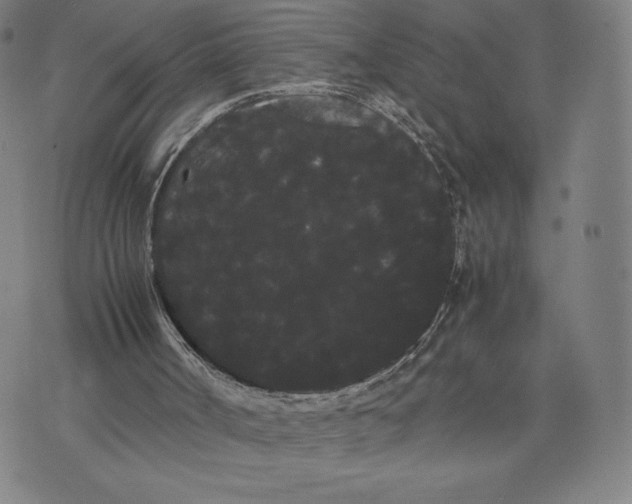 X0000071900002200607281815