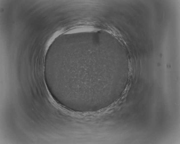 X0000071900003200607281815