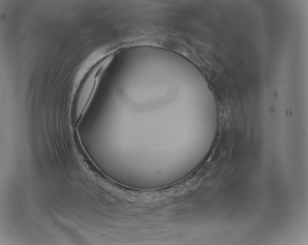 X0000071900006200607281815