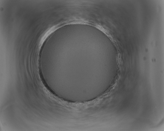 X0000071900007200607281815