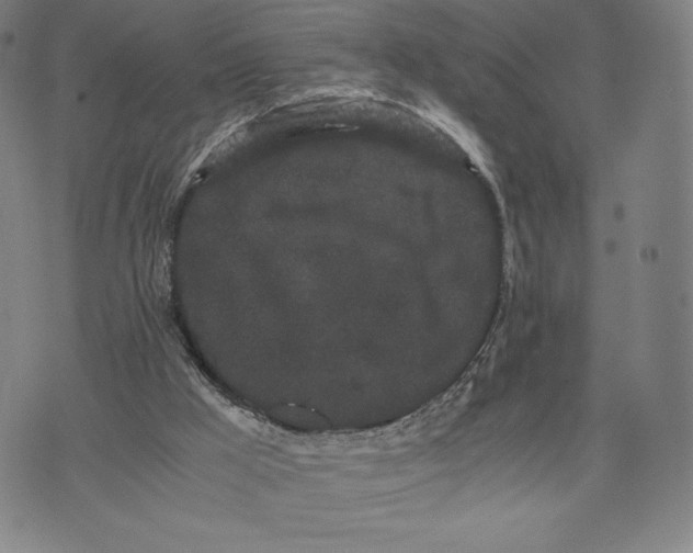 X0000071900009200607281815