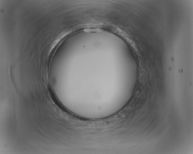 X0000071900011200607281815