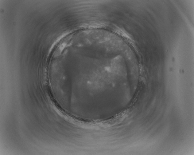 X0000071900012200607281815