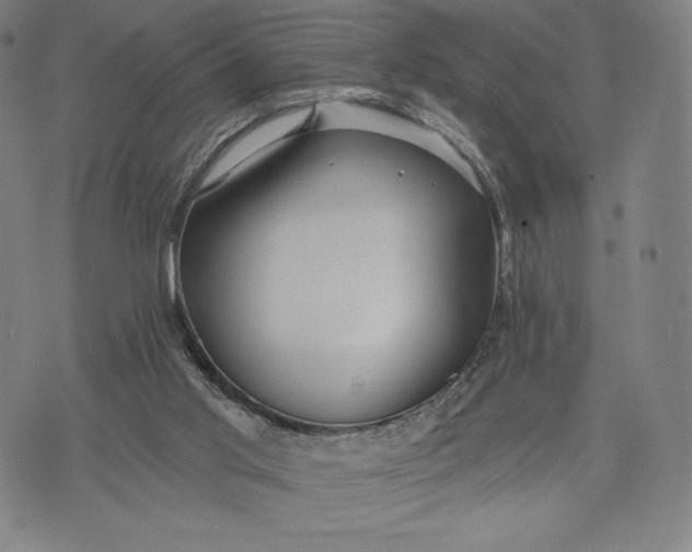 X0000071900013200607281815