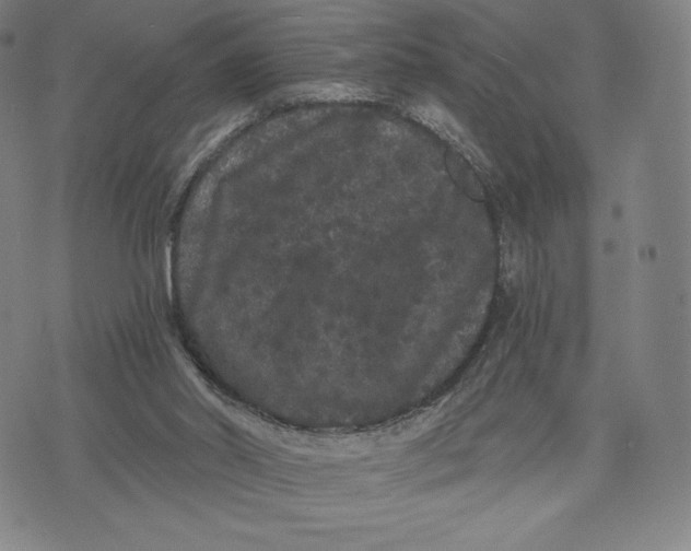 X0000071900014200607281815