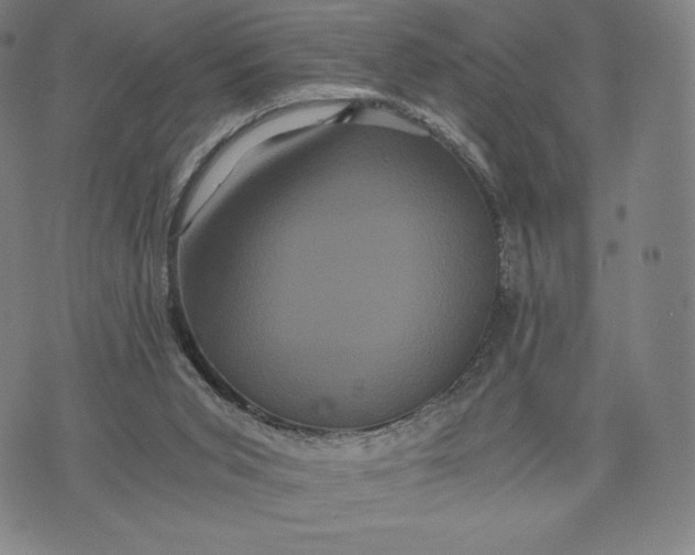 X0000071900015200607281815