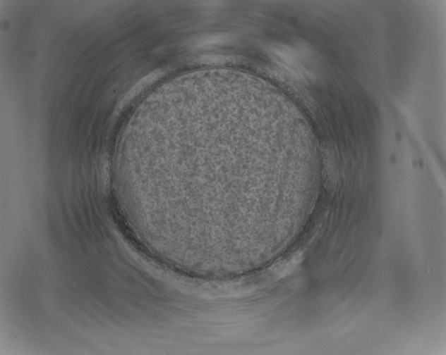 X0000071900016200607281815