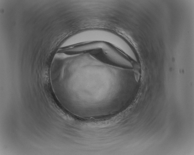 X0000071900017200607281815