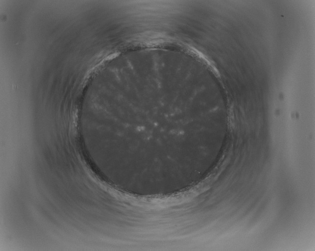 X0000071900018200607281815