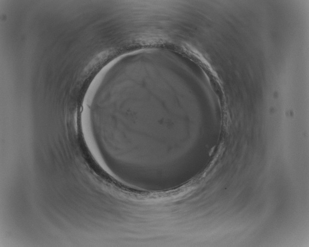 X0000071900019200607281815