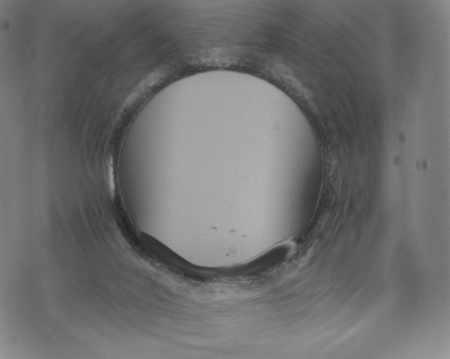 X0000071900020200607281815