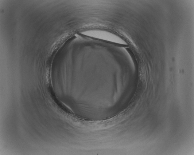 X0000071900023200607281814