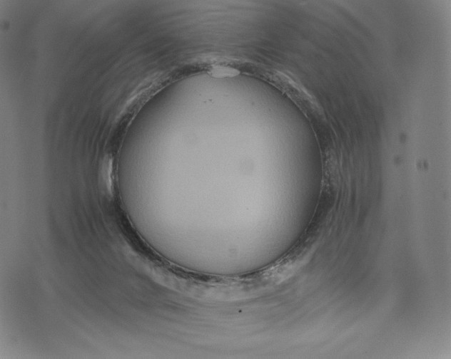 X0000071900024200607281814