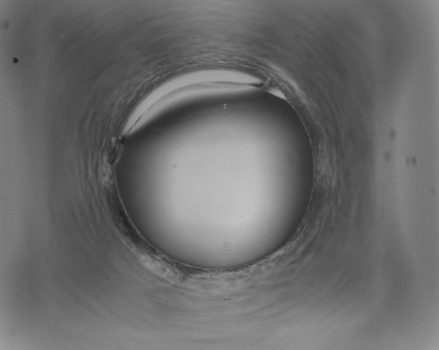 X0000071900025200607281814