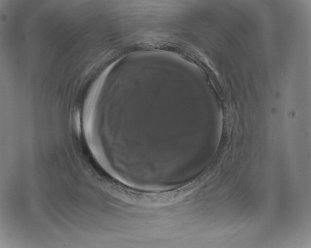 X0000071900027200607281814