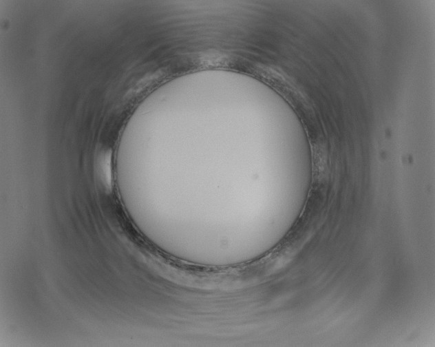 X0000071900028200607281814