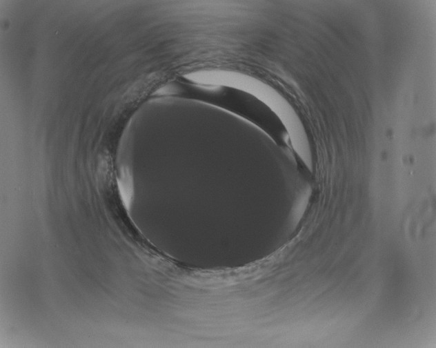 X0000071900029200607281814