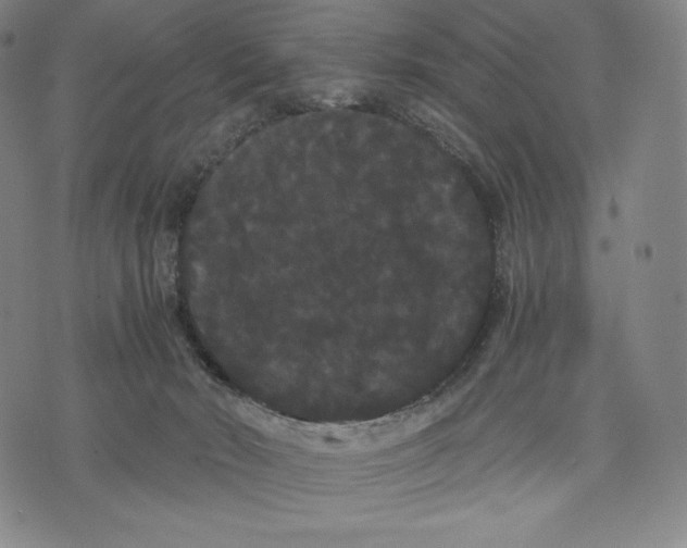 X0000071900030200607281814