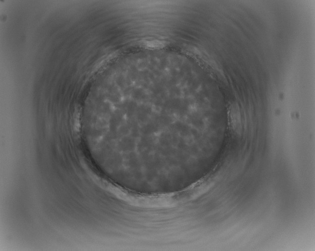 X0000071900032200607281814