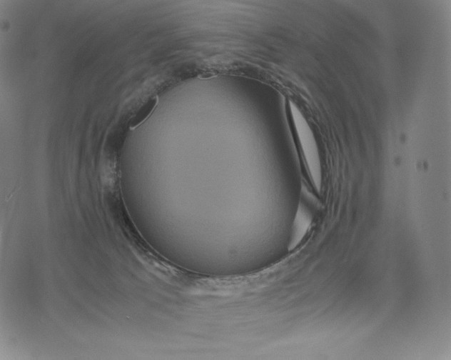 X0000071900033200607281814