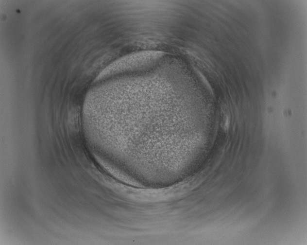 X0000071900034200607281814