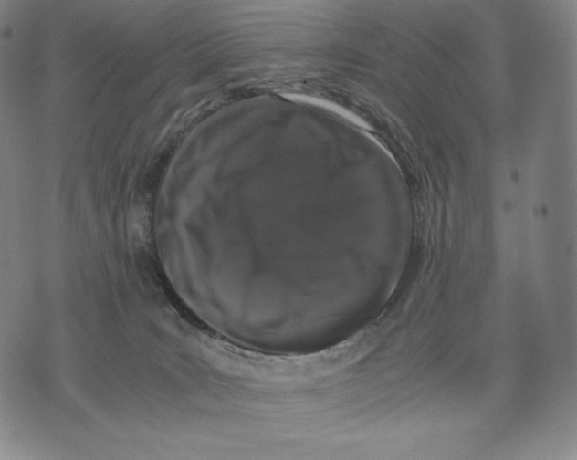 X0000071900035200607281814