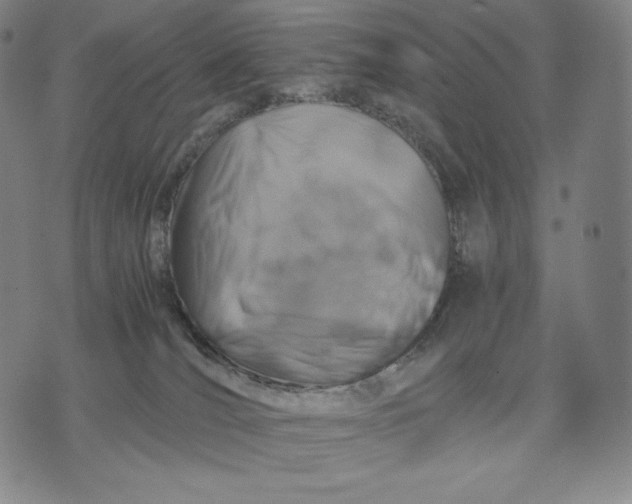 X0000071900036200607281814