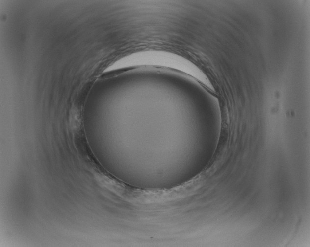 X0000071900037200607281814