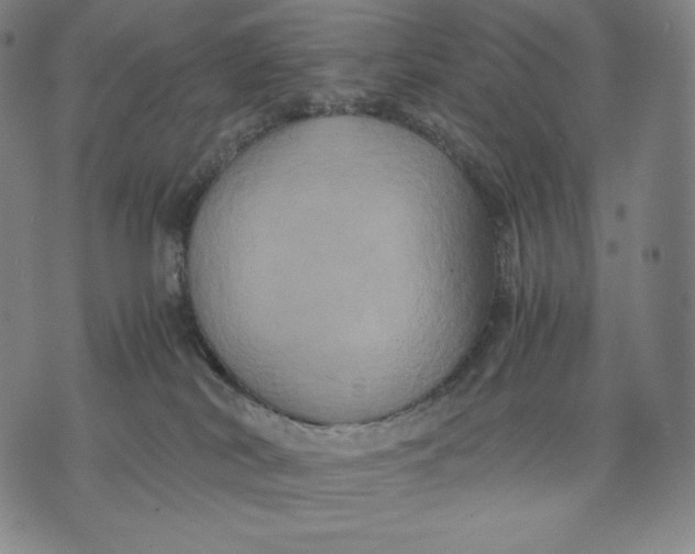 X0000071900038200607281814