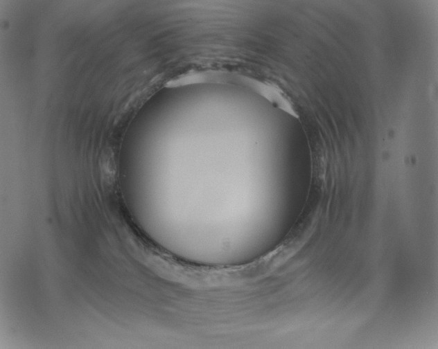 X0000071900040200607281814