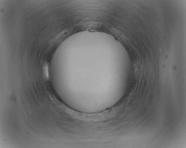 X0000071900042200607281814