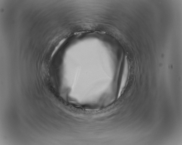 X0000071900043200607281814